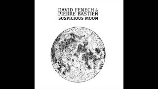 David Fenech & Pierre Bastien - Are You Lonesome Tonight
