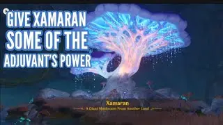 Give Xamaran some of the Adjuvant's power | Genshin Impact