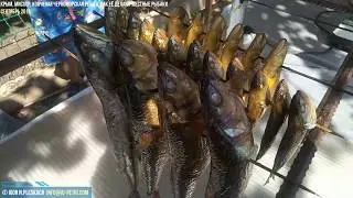 Крым, Мисхор, как местные рыбаки делают 