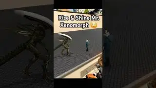 Rise and Shine Mr. Xenomorph 