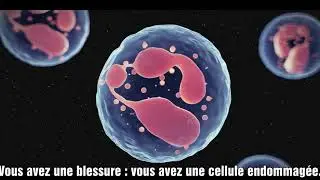 Se reconnecter à la terre - enlever ses chaussures pour revivre