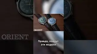 Новые цвета у циферблатов Bambino / Orient RN-AP0102E, RN-AP0103L 