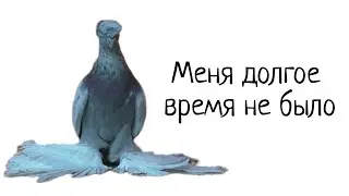 Меня долго не было. Был занят. Теперь будем активны
