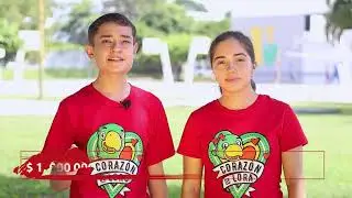Un día para donar