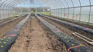 Benefits of High Tunnels