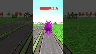 Cute Rabbit Race Challenge Part 3 #shorts