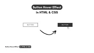 Button Hover Effect in HTML and CSS