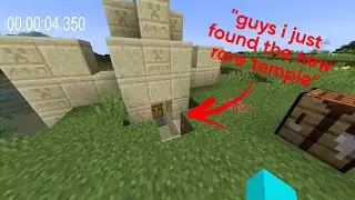 minecraft speedruns be like