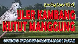 Classical Javanese Music Uler Kambang Kutut Full 3 Hours - Uyon uyon Music for Tiredness Medicine