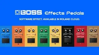 Introducing BOSS Effects Pedals | Software Effect