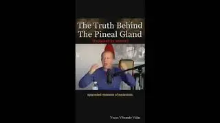 La Verdad tras la Glándula Pineal