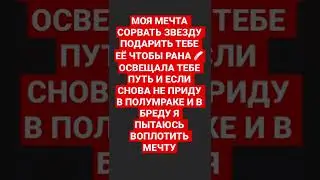 ZVEZDA JONY