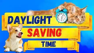 Daylight Saving Time for kids