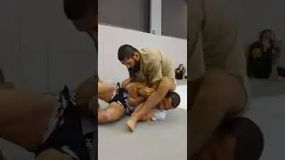 Схватка до болевого! Чимаев vs Рокхолд 