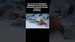 Мем 