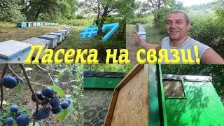 ✅Это важно на пасеке осенью! Прикрываю летки, пчелы воровки! Пасека на связи #7