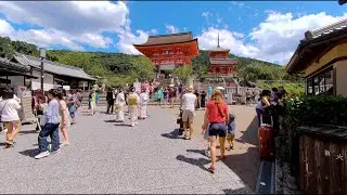 Walking Through JAPAN