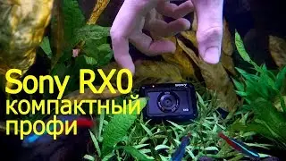 Sony RX0 – компактный профи. Обзор