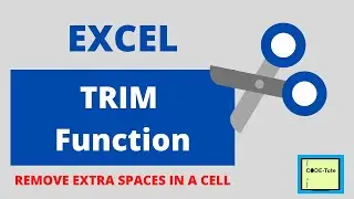 Trim Function in Excel | How to ignore spaces in cell | How to remove spaces in excel