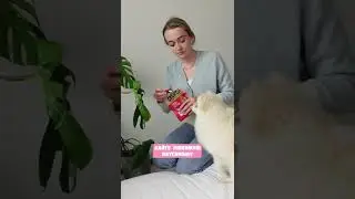 КАК УЛОЖИТЬ СОБАКУ СПАТЬ😴