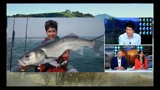 Passionnant ! Quelques conseils pour réussir sa pêche au bar ? 🐟🐟🐟