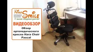 Обзор ортопедического кресла Hara Chair Pascal