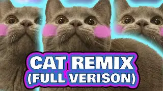 Cat Remix (Full Version)
