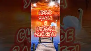 Красивые пожелания с добрым утром от всего сердца и души🕊️