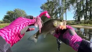 The Only Bait You Need To Catch Summer Bass