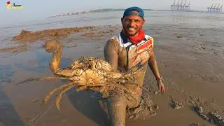 Amazing...!! The Traditional Way Of Catching Mud Crab in India | भालावर भेटले मोठे खरपी चिंबोरे