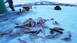 Ну наконец, ПЕРВЫЙ ЛЁД 2023-2024! +18|  Рыбалка на БАЛАНСИР, БЛЕСНУ, МОРМЫШКУ!