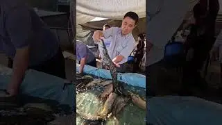 ЛАККА