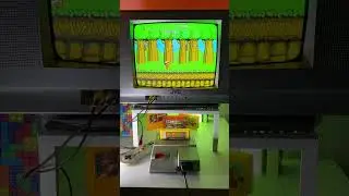 Famicom/Dendy - Adventure Island 