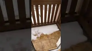 Просыпаешься утром и смотришь в окно, а там..