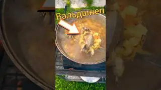 Готовим Вальдшнепа. Похлебка охотника  