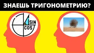 Тест По Тригонометрии | Школа Пифагора