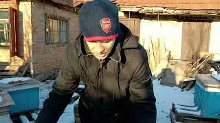 Критическая ситуация !Семьи погнали расплод!  часть- 2