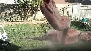 Giant worms eat me!