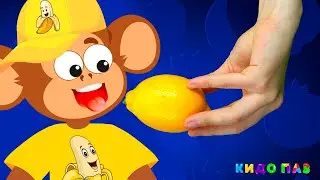 Ням Ням Овощи и Фрукты | Кидо Паз Детские Песни про фрукты и овощи