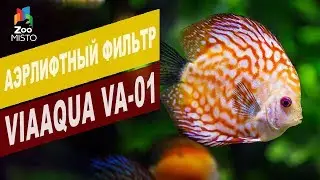 Аэрлифтный фильтр ViaAqua VA-01 | Обзор Аэрлифтный фильтр ViaAqua VA-01