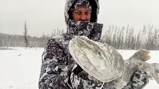 Вот это ПЕРВЫЙ ЛЕД 2021-22!!! ТРОФЕЙное открытие сезона!!!