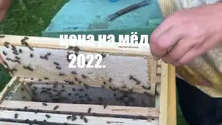 Цена на мёд 🍯 2022.