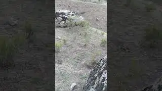 САЙРИ МОДАКАБК ДАР КУХ ХАНГОМИ ШИКОР