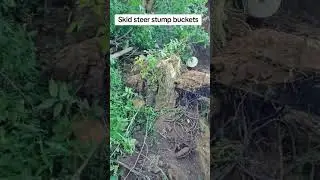 Skid Steer Stump Buckets