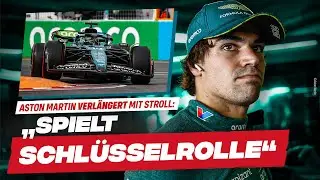 Gasly & Stroll verlängern langfristig / Sainz-Absage: Wolff äußert sich / Insider über RB-Motor