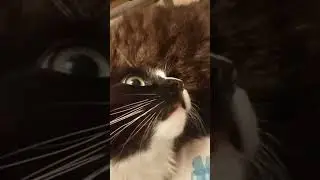 Сильвер не понимает ничего!