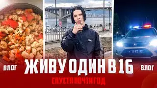 ЖИВУ ОДИН В 16 ЛЕТ! ОДИН ДЕНЬ ИЗ ЖИЗНИ ПОДРОСТКА | ОТВЕТЫ НА ВАШИ ВОПРОСЫ!