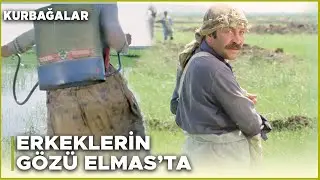Kurbağalar Türk Filmi | Erkeklerin Gözü Elmas'ta