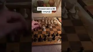 Гениальная комбинация в шахматах! 