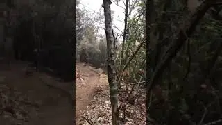Rate this crash downhild